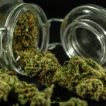 Detailed image of cannabis buds spilling out of a glass jar.