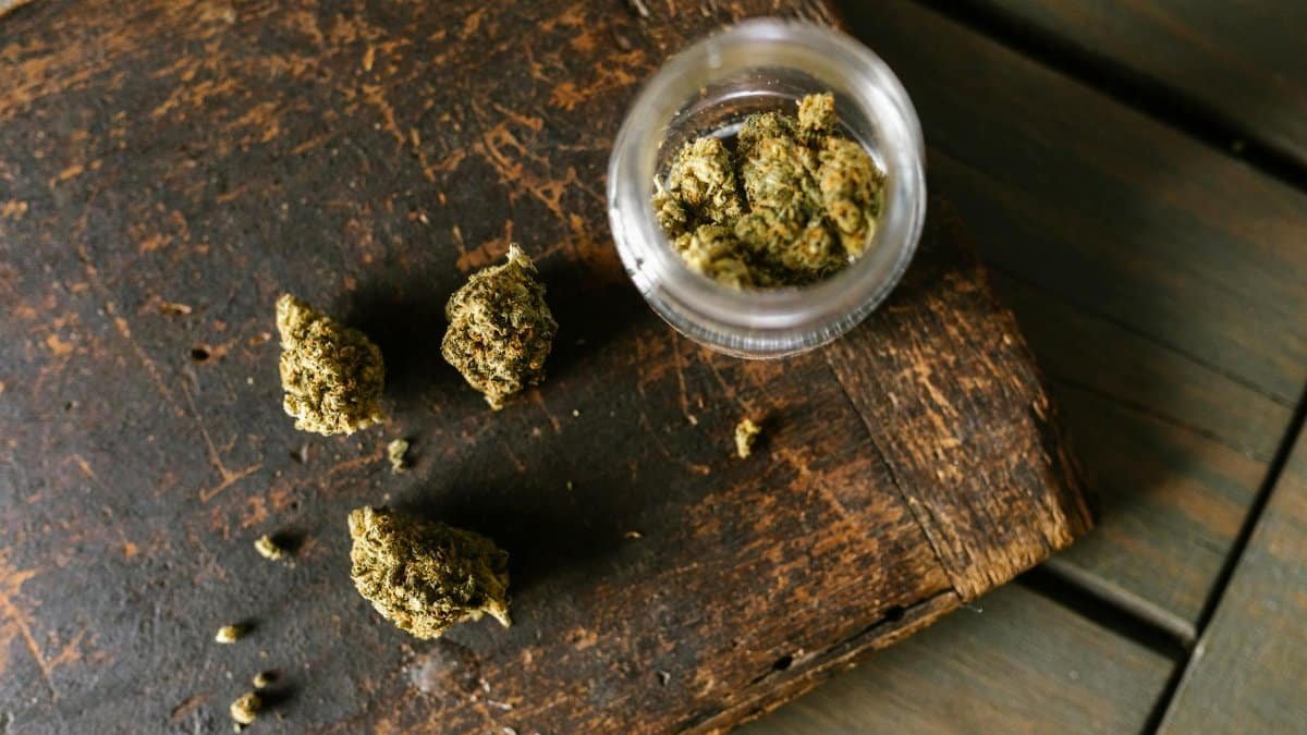 Cannabis buds scattered on a rustic wooden surface with an open jar.