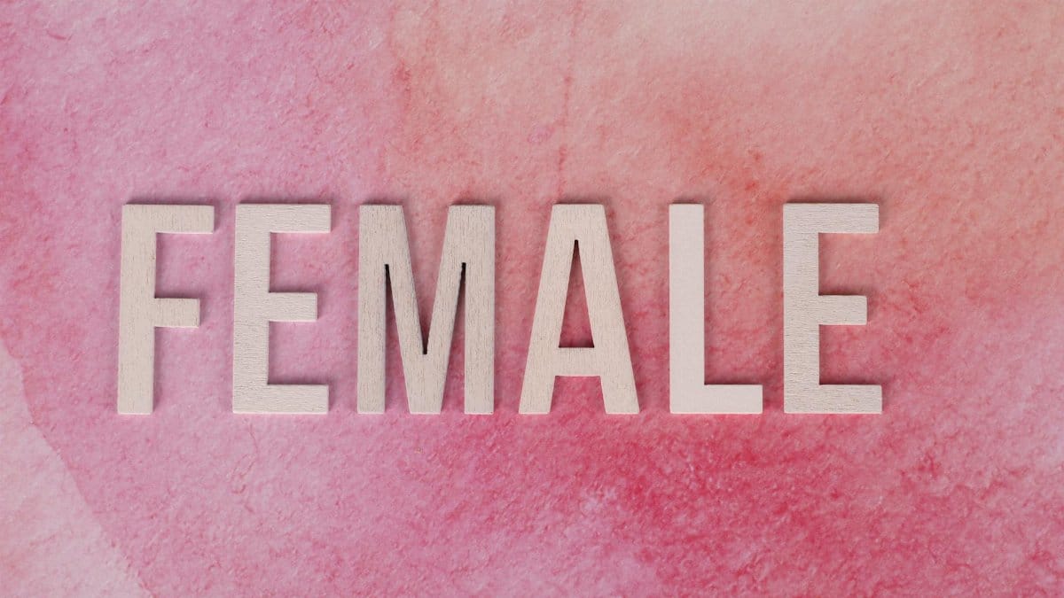 Wooden letters spelling 'Female' on a textured pink background, stylish and feminine.