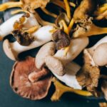 A detailed close-up of assorted dried mushrooms on a dark background, showcasing texture and variety.