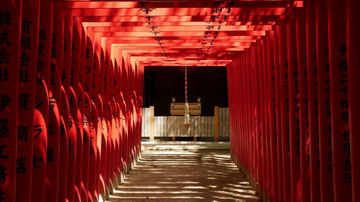 A stunning view of red torii gates at Fushimi Inari Shrine in Kyoto, Japan, under sunlight.