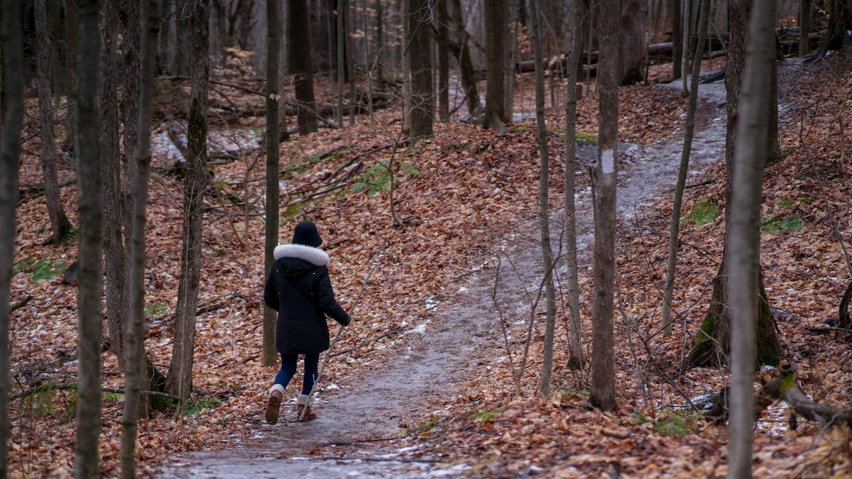 A person in a black jacket walks along a forest path covered in fallen leaves.