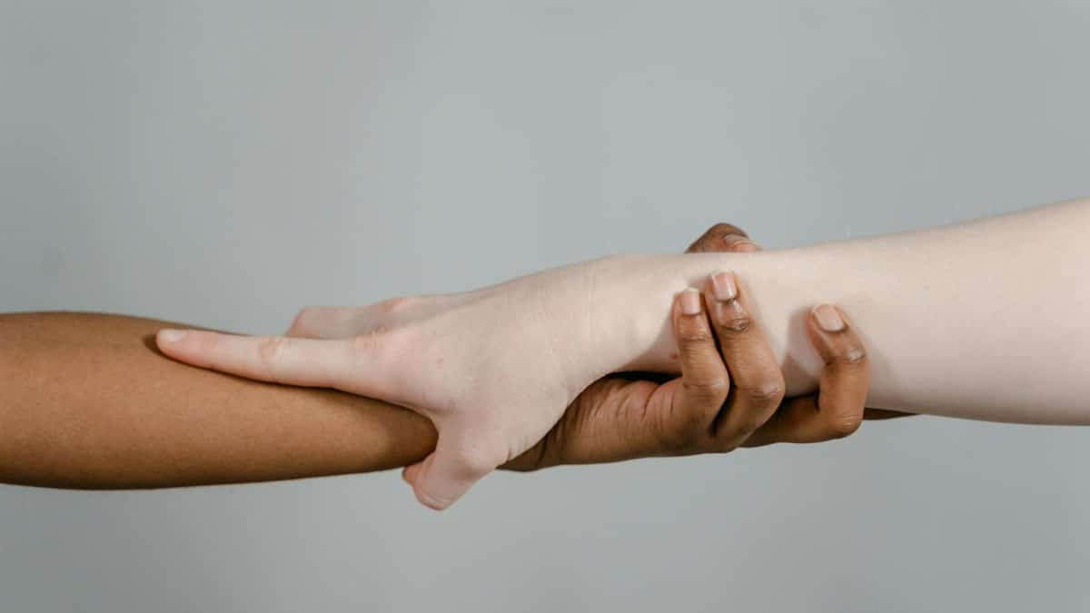 Close-up of hands showcasing diversity and unity through different skin tones.