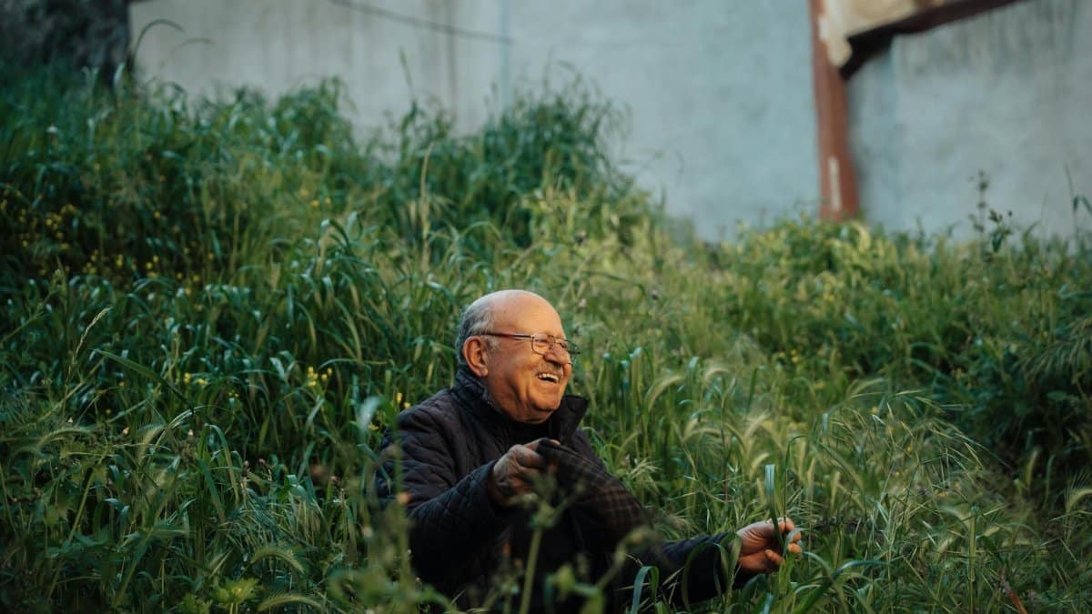 Cheerful elderly man sitting in lush green garden, Istanbul. Capturing joy in nature.