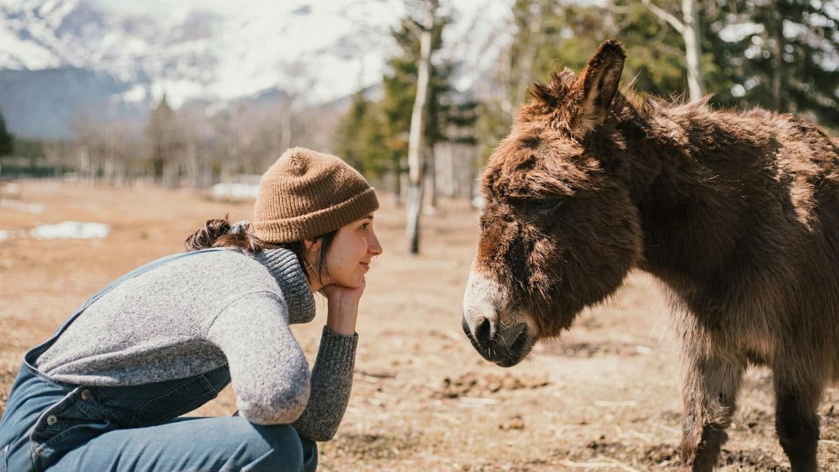 A woman in a beanie hat connects with a donkey in a scenic rural landscape.