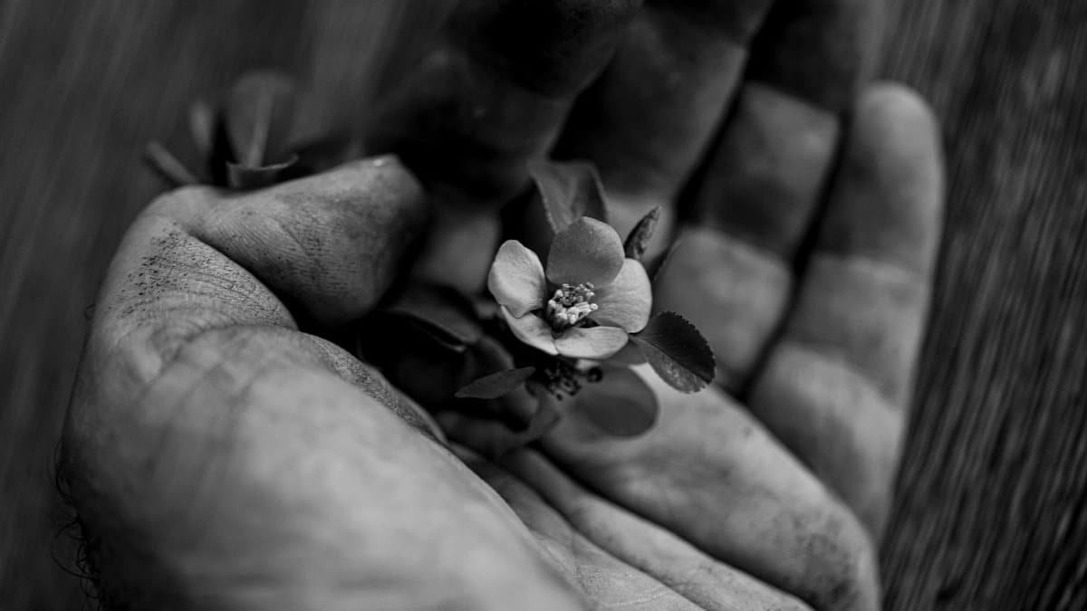 Dramatic black and white photo of a hand holding a delicate flower, symbolizing fragility and resilience.