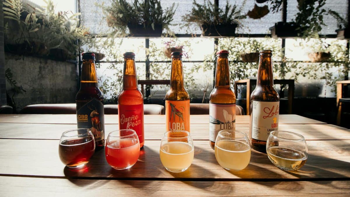 Explore a diverse selection of craft beers in a sunlit café setting in Mexico City, perfect for beer enthusiasts.