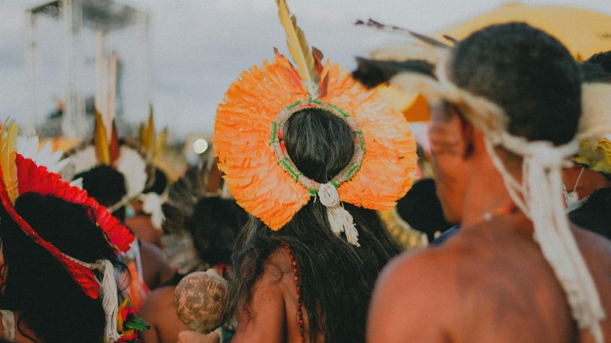 Tribal festival with vibrant feathered headdresses and cultural attire captured from behind.