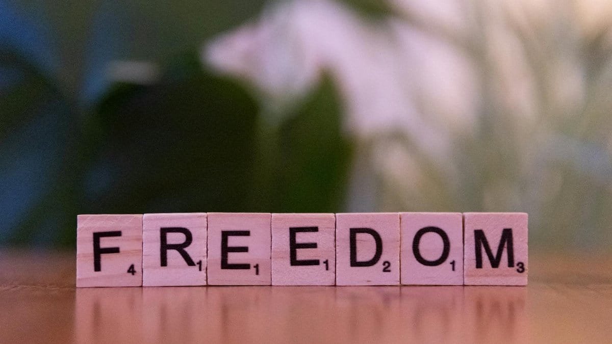 Wooden letter tiles spelling 'FREEDOM' in a soft, blurred background setting.