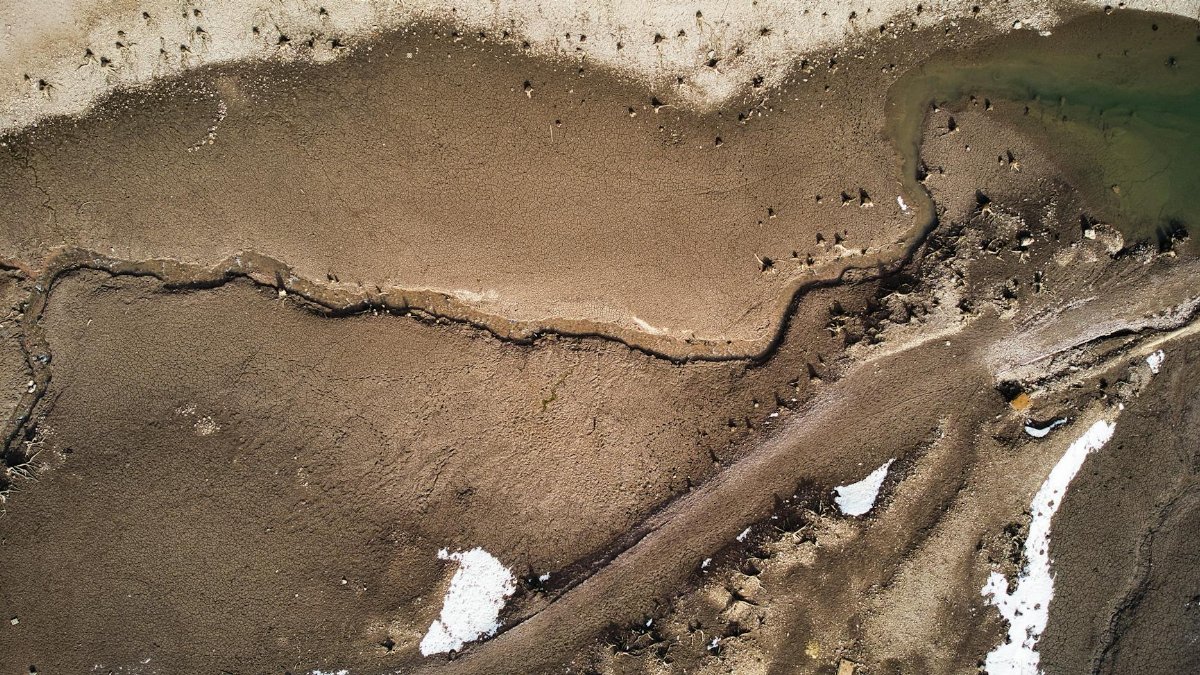 Aerial view highlighting a muddy shoreline with visible erosion and some green patches, captured by a drone camera.