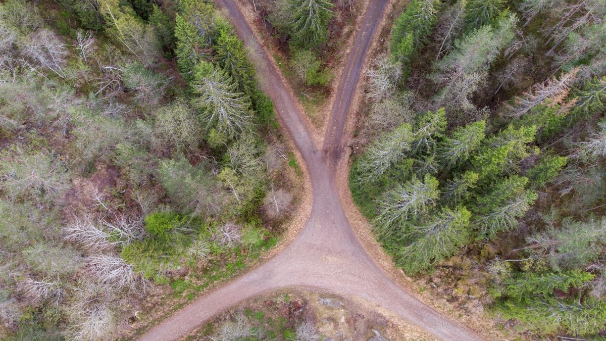 A bird's-eye view of a forest road intersection in Nittedal, Norway.
