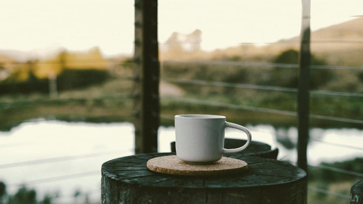 A cozy white coffee cup placed on a tray atop a tree trunk, overlooking a peaceful river scene.