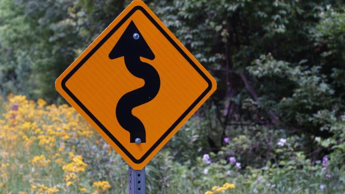 Yellow curvy road sign surrounded by wildflowers and greenery.