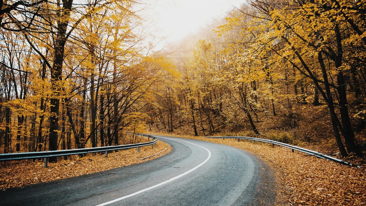 A winding road through vibrant autumn foliage, perfect for fall-themed projects.