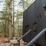 Explore a secluded tiny home in Epsom's lush autumn woods, perfect for a peaceful getaway.