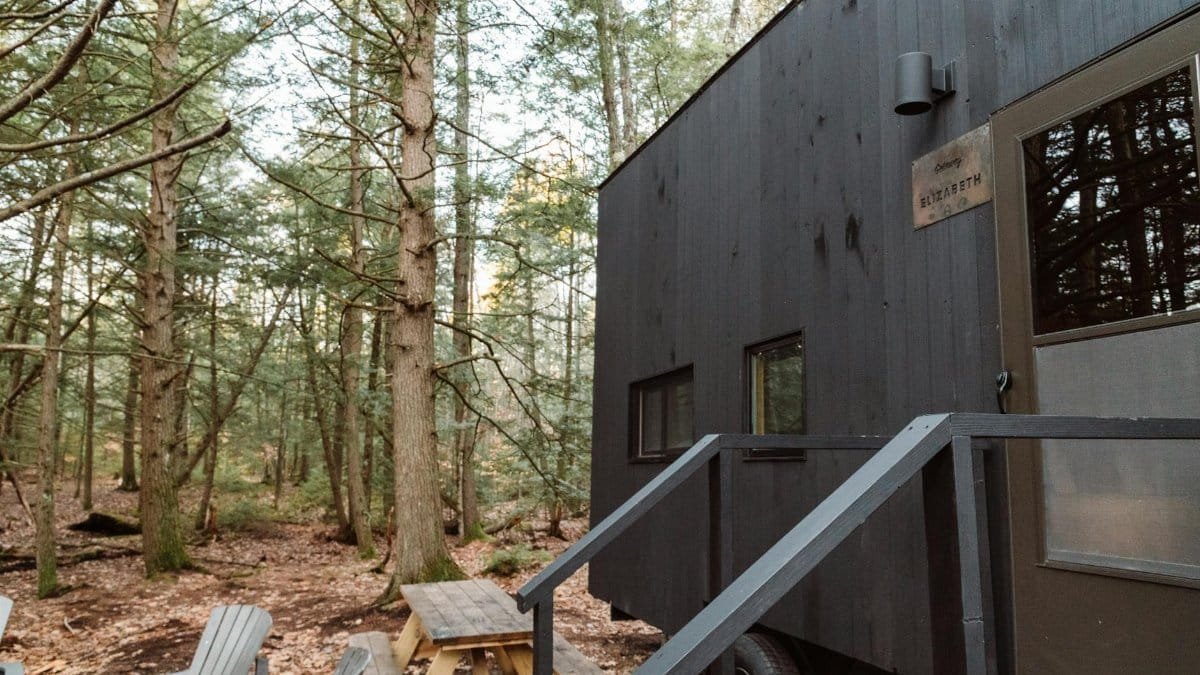 Explore a secluded tiny home in Epsom's lush autumn woods, perfect for a peaceful getaway.