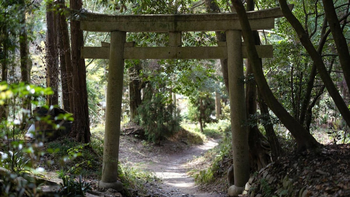 Stone torii gate along a serene forest path in Kyoto, Japan, showcasing Japanese culture.