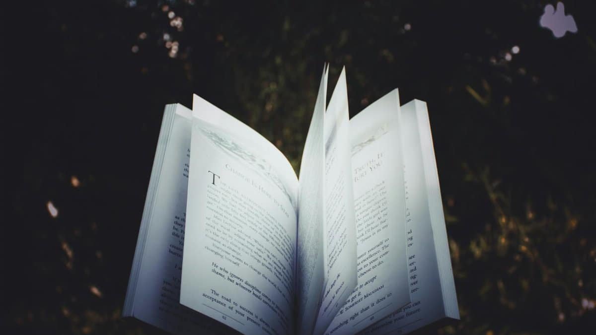 An open book with pages turning, captured outdoors, creating a dreamy reading atmosphere.