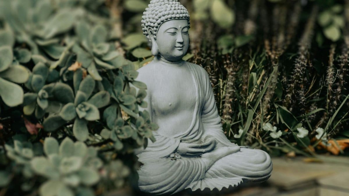 A peaceful Buddha statue in a meditative pose surrounded by lush greenery, symbolizing tranquility.