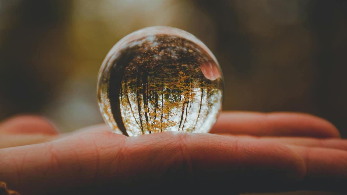 A crystal ball held in a hand reflects an inverted forest scene, depicting nature's beauty.