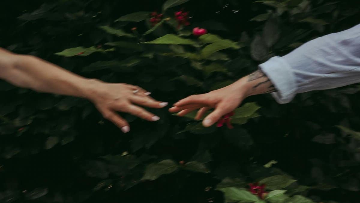 Two hands reaching towards each other in a lush garden, symbolizing connection and nature.