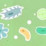 Paper cutout of different shapes and colors contagious types of viruses on green background during disease outbreak