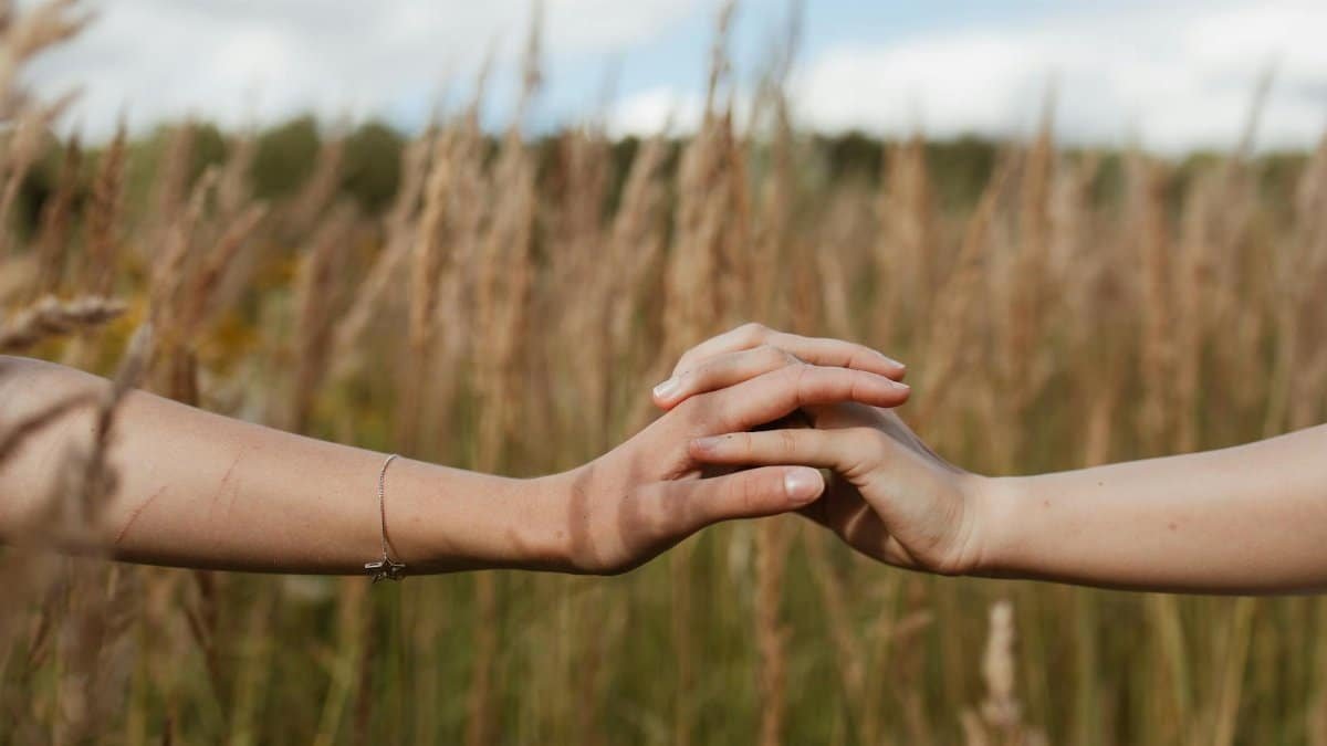 Two hands gently touching in a field of tall grass under a bright sky, symbolizing connection.
