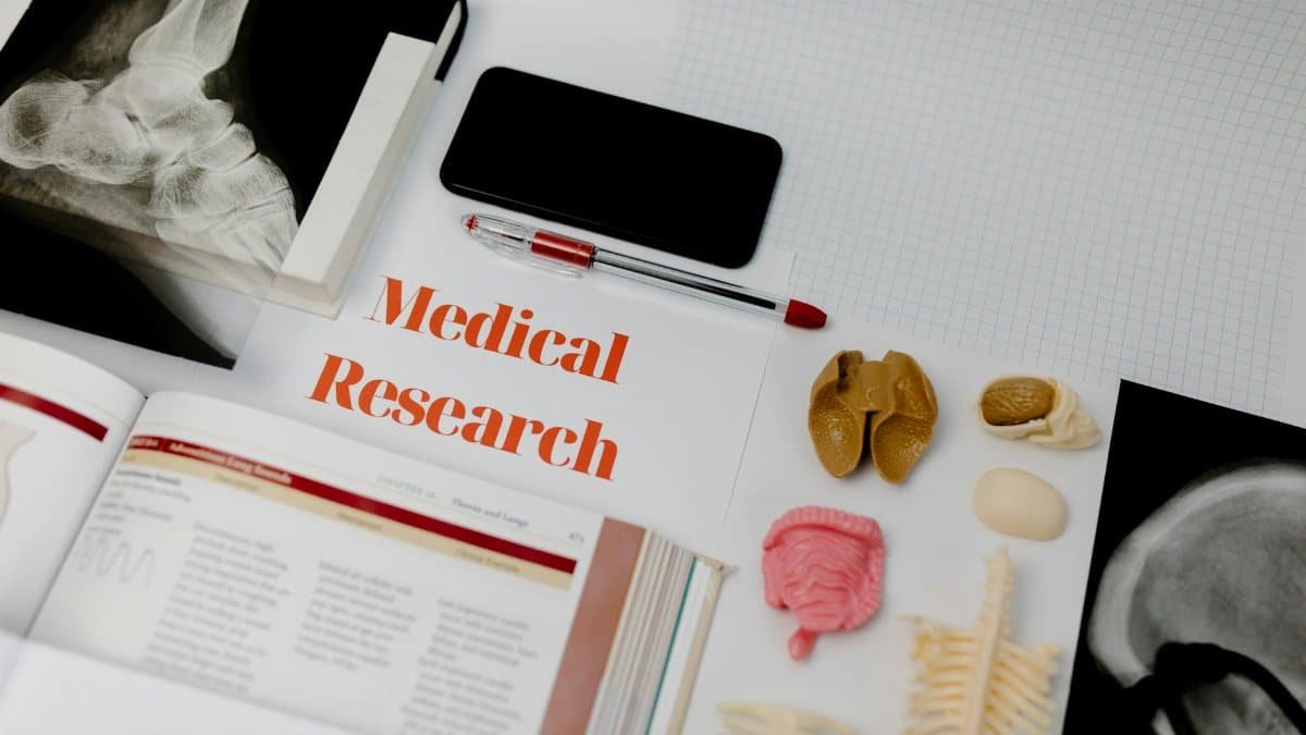 Medical research setup featuring anatomical models, x-rays, and a textbook, ideal for educational purposes.