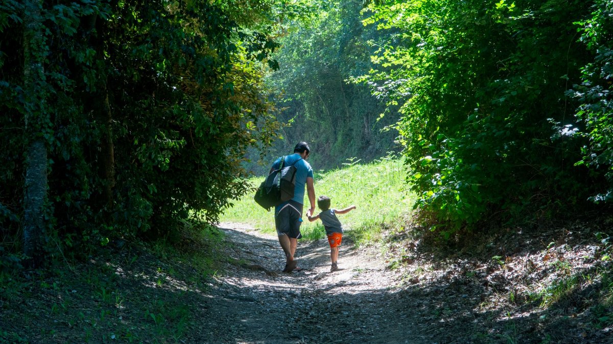 Father and child walking hand-in-hand on a sunlit forest trail, showcasing nature bonding.