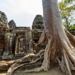 Explore the mesmerizing ruins of an ancient Cambodian temple entwined with dramatic tree roots.