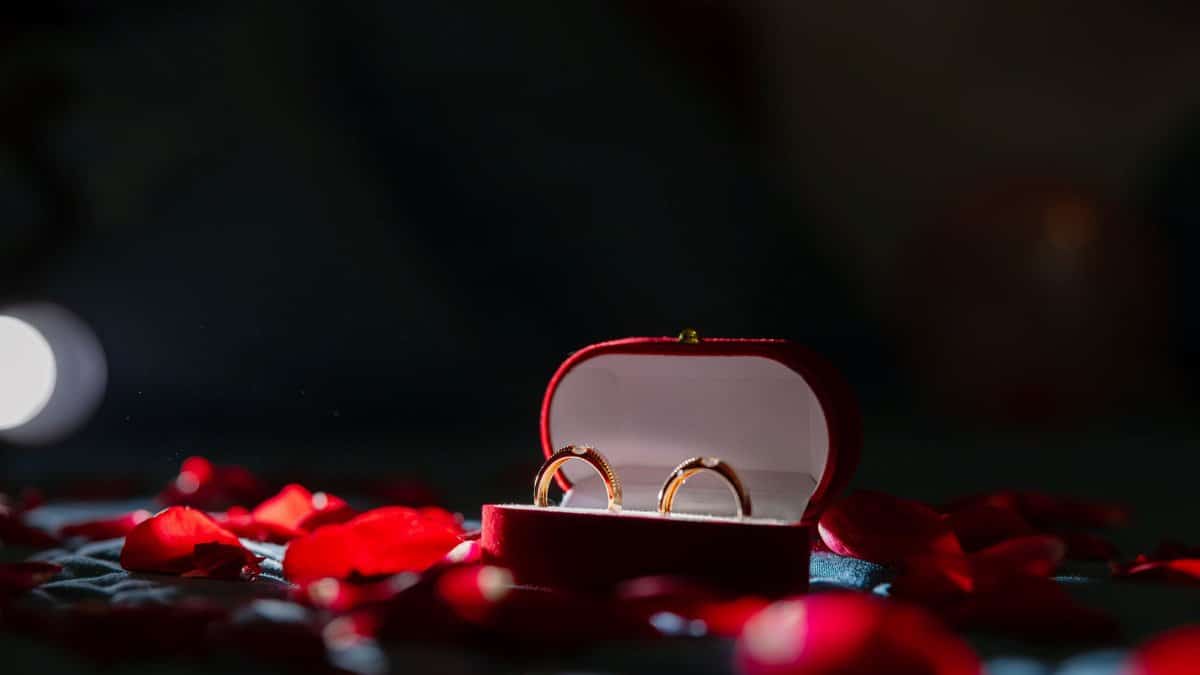 Two gold rings in a red velvet box surrounded by scattered rose petals, perfect for romantic themes.