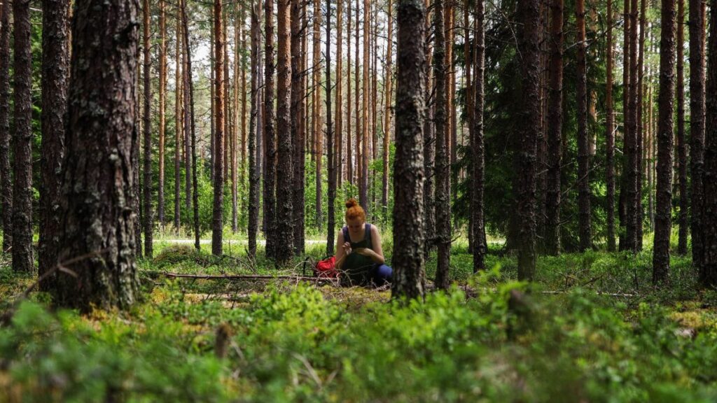 A woman sits alone in a lush, dense forest, surrounded by tall trees in daylight.