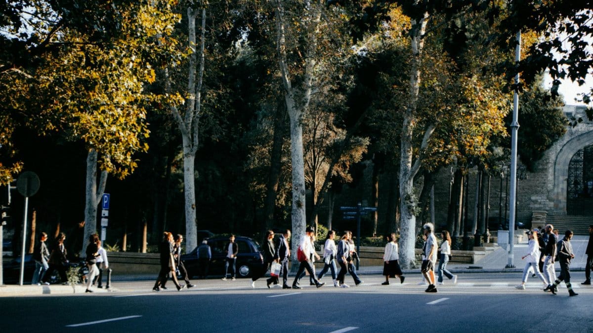 A group of pedestrians crossing a sunlit city street lined with autumn trees.