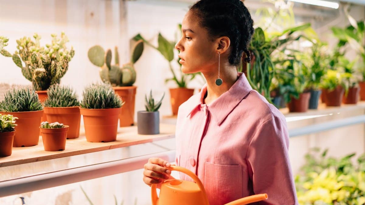 A woman in a pink shirt waters indoor potted plants in a modern studio.