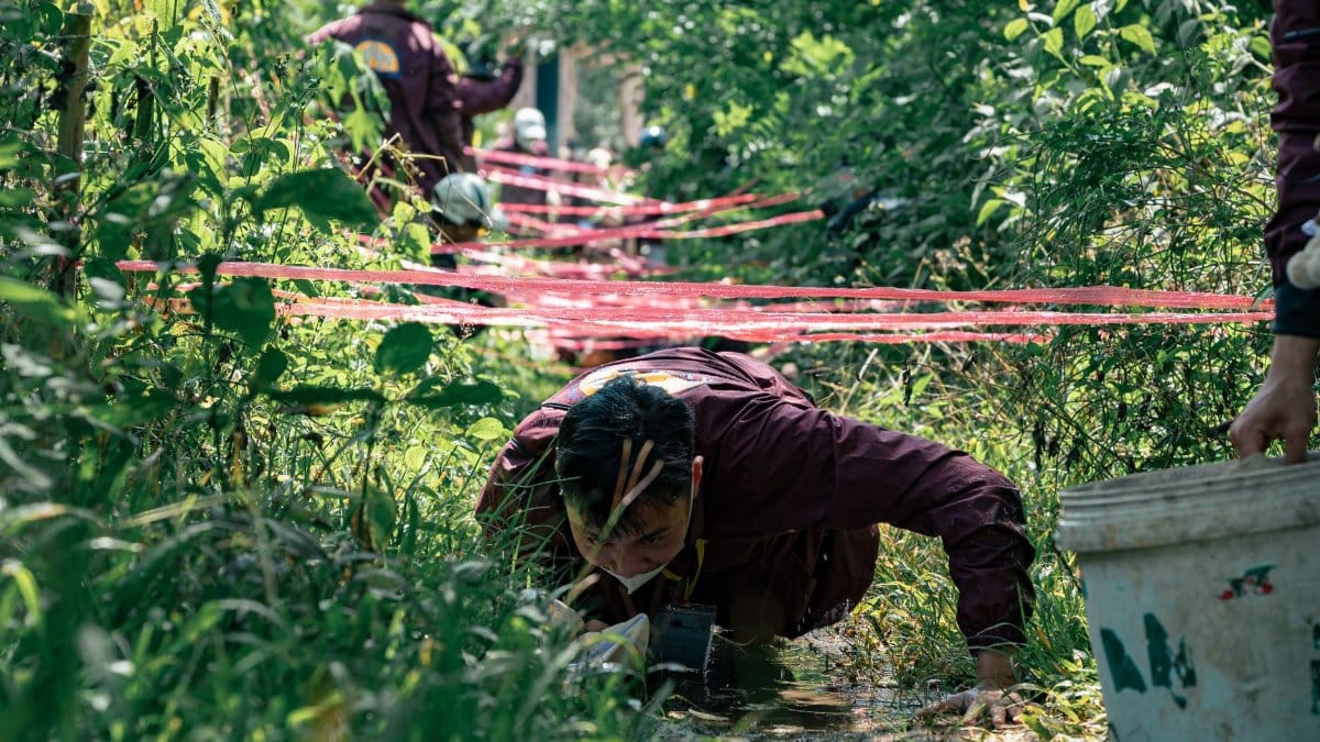 Individual participating in an outdoor training exercise, crawling under ropes.