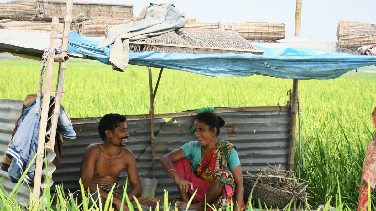 A candid scene of two farmers taking a break in a makeshift shelter in the fields of Rangpur, Bangladesh.