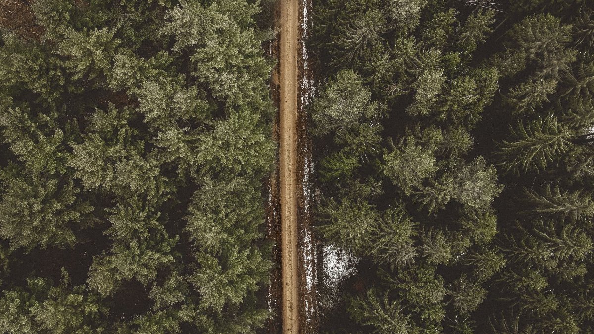 An aerial shot of a forest road dividing two lush green areas in a snowy landscape.