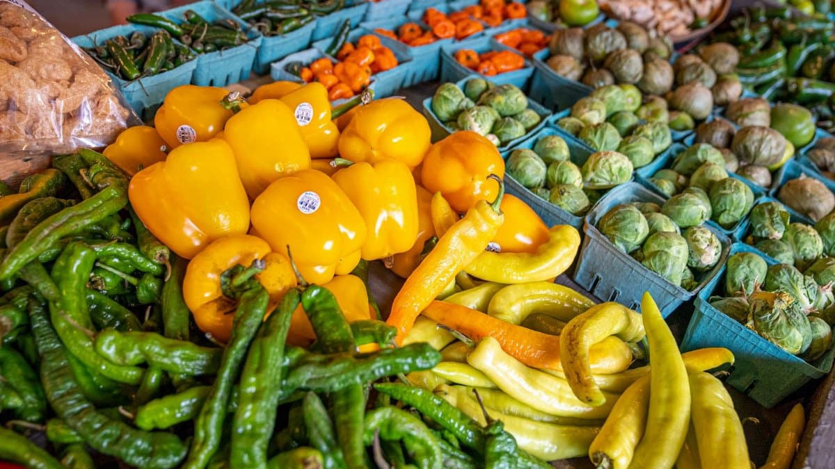 Colorful assortment of fresh vegetables at a local market in North Carolina, USA.