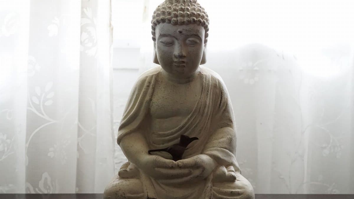 Gentle light on a serene Buddha statue, symbolizing tranquility and meditation.
