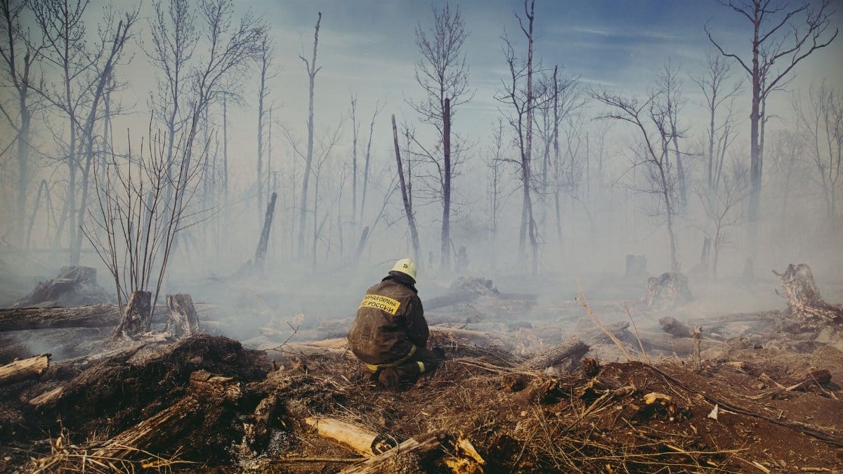 A firefighter contemplatively sits among the charred aftermath of a forest fire, enveloped in mist and smoke.