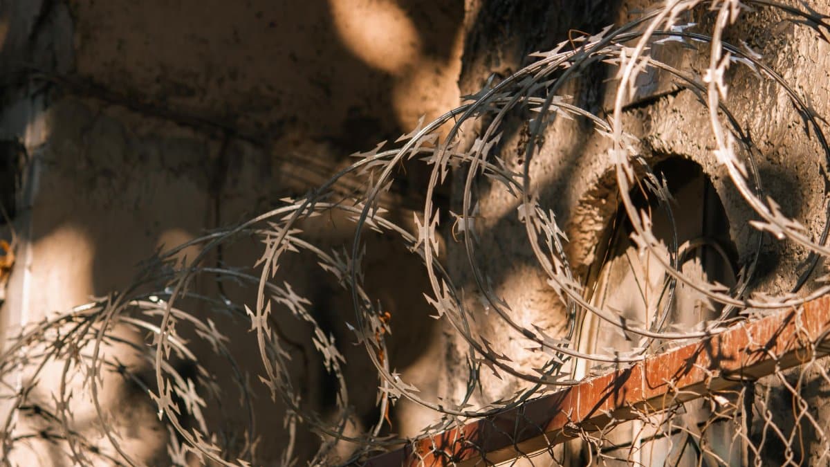 Close-up of barbed wire casting shadows on an old wall, creating dramatic effects.
