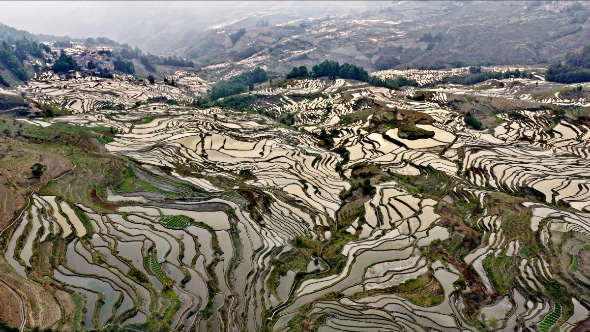 Stunning aerial view of the terraced rice fields of Yuanyang, China during springtime.