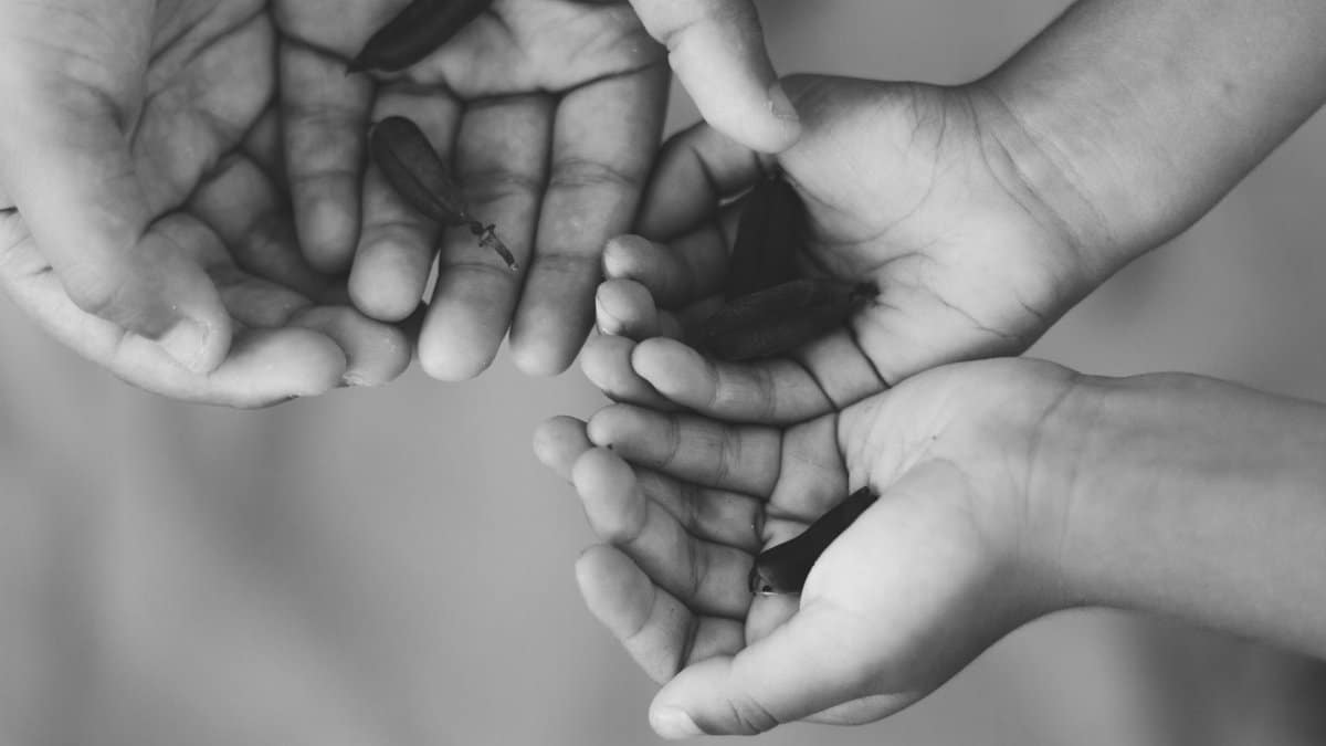 Black and white photo of hands holding seeds, symbolizing growth.
