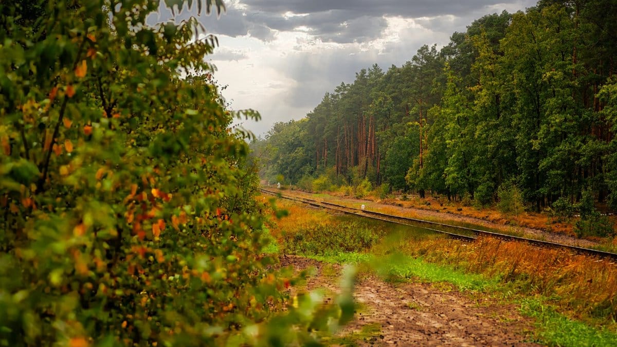Picturesque railway through dense forest with dramatic skies and lush greenery.