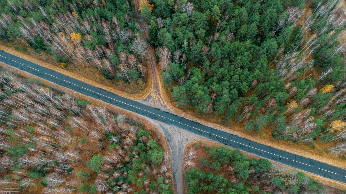 Drone shot of a forest road intersection in Shilovichi, Belarus during autumn season.