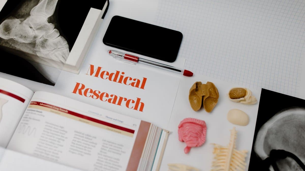 Medical research setup featuring anatomical models, x-rays, and a textbook, ideal for educational purposes.