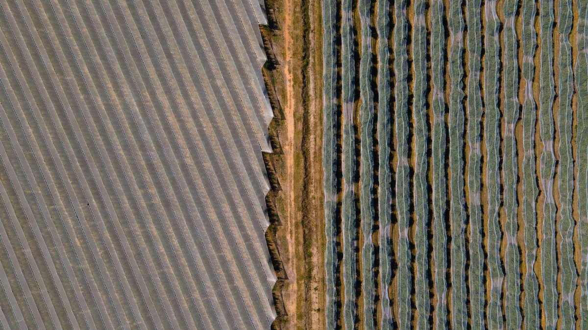 High-angle aerial view of farmland with distinct dirt road division, showcasing unique patterns in Krakeel River, South Africa.