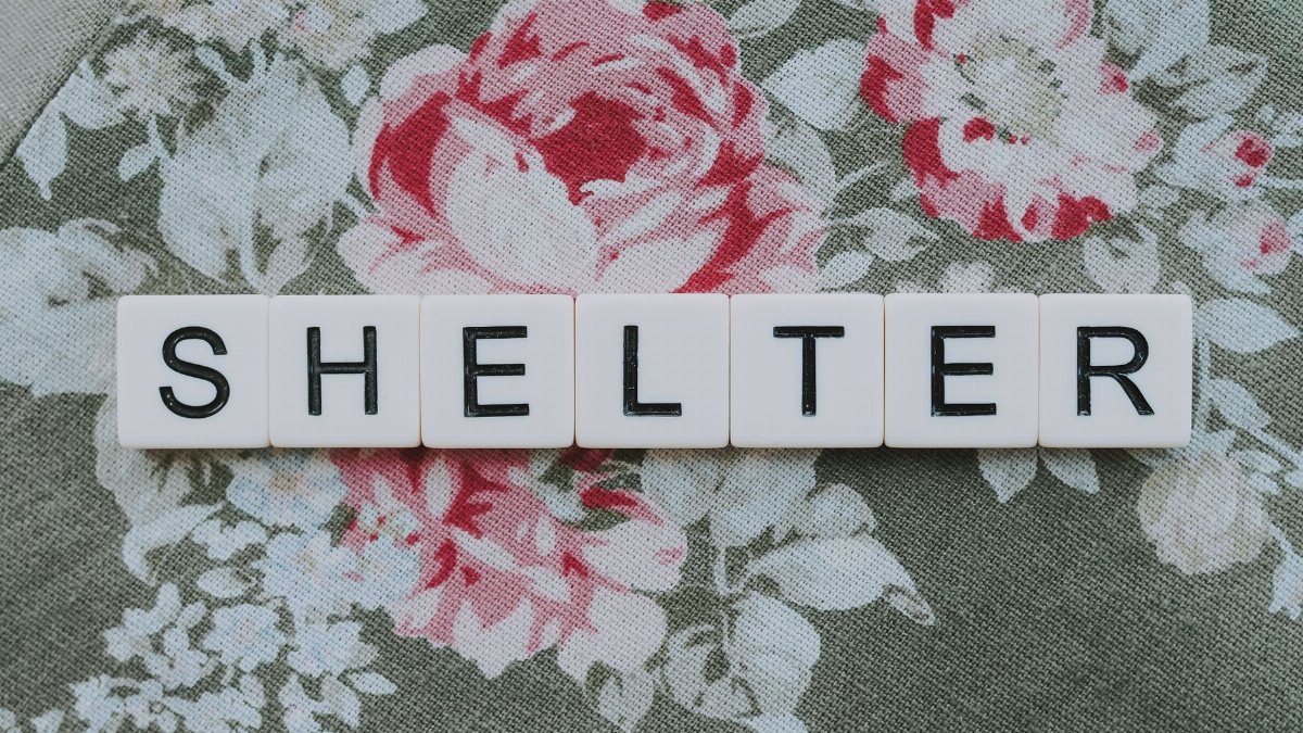 The word 'SHELTER' formed with letter cubes on a floral background.