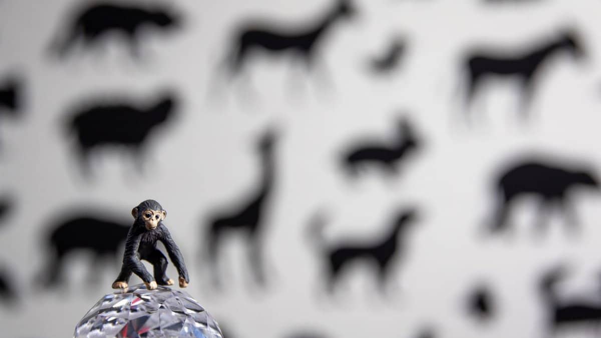 Miniature toy monkey on a crystal ball with animal silhouette background.