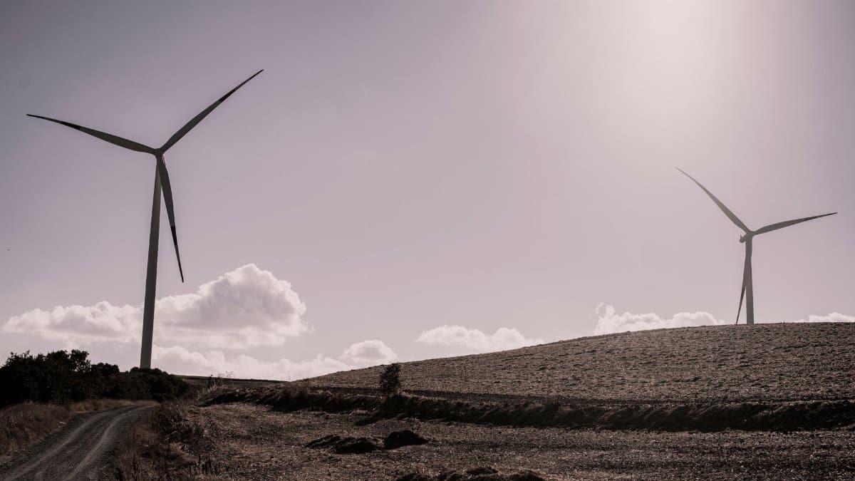 Wind turbines under a bright sky in a rural landscape, capturing renewable energy in nature.